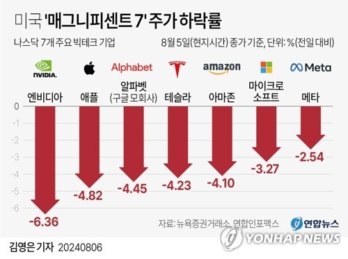 미국 '매그니피센트 7' 주가 하락률.jpg